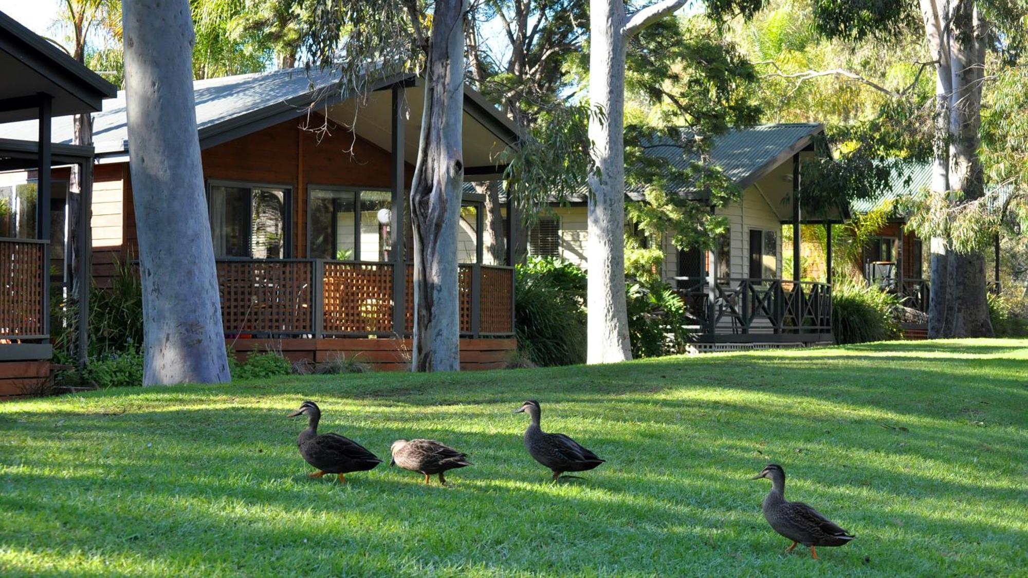 Marion Holiday Park Adelaide Exterior photo